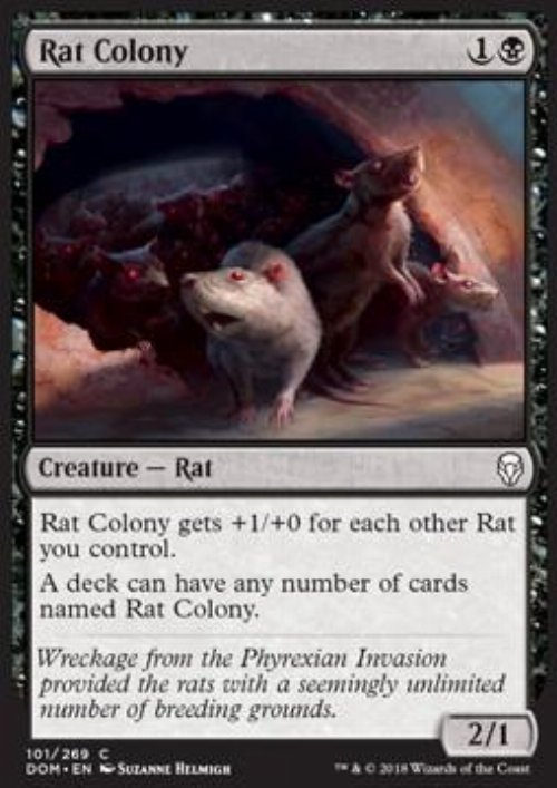 Rat Colony