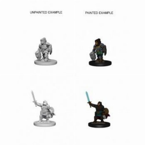 D&D Nolzur's Marvelous Miniatures - 2x Dwarf
Female Paladin