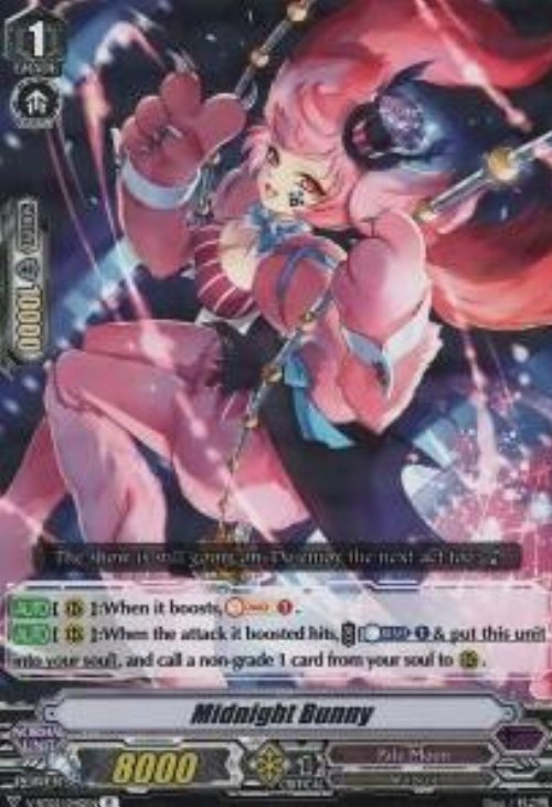 Midnight Bunny