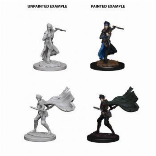 Pathfinder Deep Cuts Miniatures - 2x Elf Female
Rogue