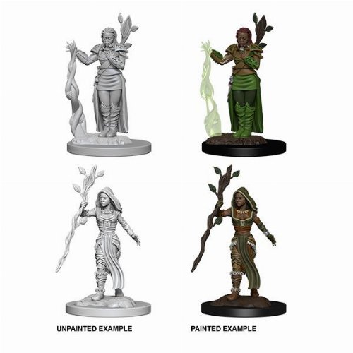 D&D Nolzur's Marvelous Miniatures - 2x Human
Female Druid