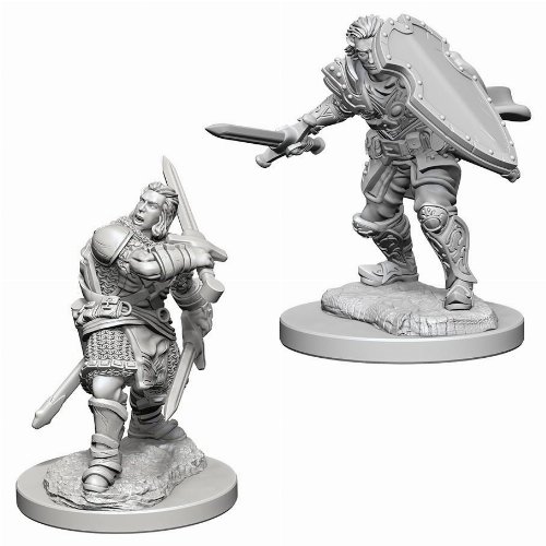 D&D Nolzur's Marvelous Miniatures - 2x Human Male
Paladin