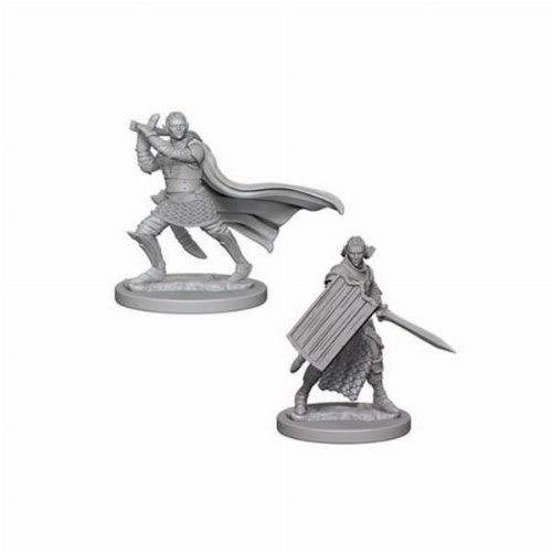 Pathfinder Deep Cuts Miniatures - 2x Elf Male
Paladin