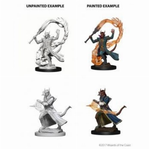 D&D Nolzur's Marvelous Miniatures - 2x Tiefling
Sorceror (Male)