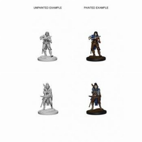 Pathfinder Deep Cuts Miniatures - 2x Elf Female
Bard