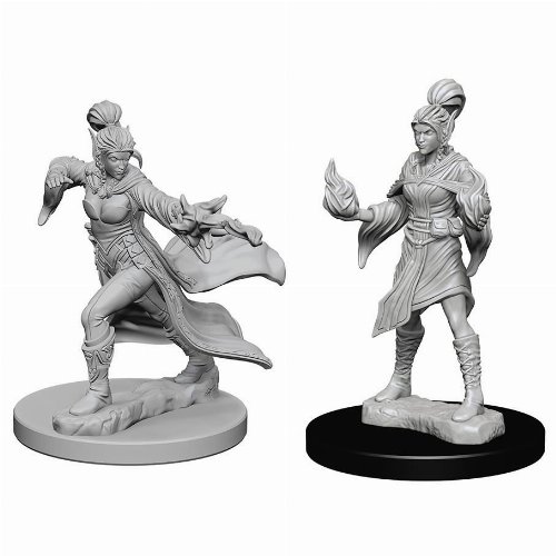 Pathfinder Deep Cuts Miniatures - 2x Elf Female
Sorcerer