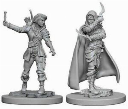 Pathfinder Deep Cuts Miniatures - 2x Human Female
Rogue