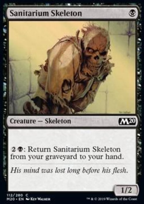 Sanitarium Skeleton