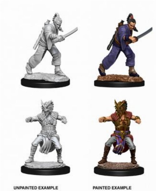 D&D Nolzur's Marvelous Miniatures - 2x Male
Human Monk