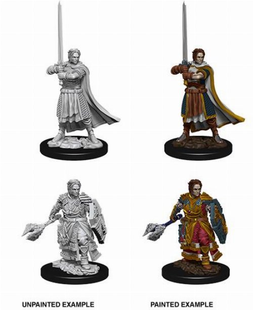 D&D Nolzur's Marvelous Miniatures - 2x Male Human
Cleric