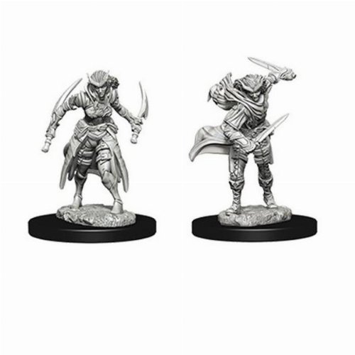 D&D Nolzur's Marvelous Miniatures - 2x Female
Tiefling Rogue