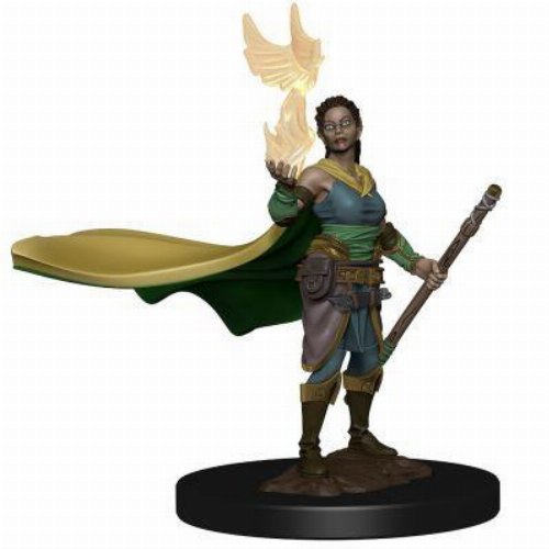 D&D Icons of the Realms Premium Miniature - Elf
Female Druid (Pre-painted)