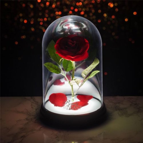 Disney - The Beauty and the Beast Rose
Light