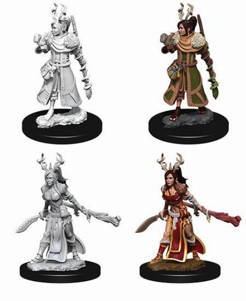 D&D Nolzur's Marvelous Miniatures - 2x Female
Human Druid