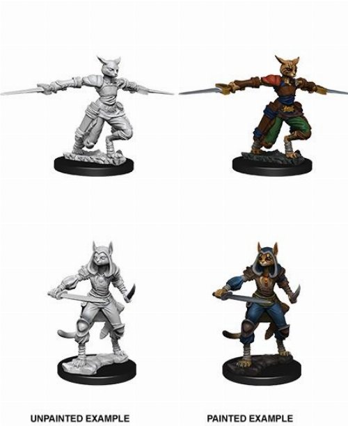 D&D Nolzur's Marvelous Miniatures - 2x Female
Tabaxi Rogue