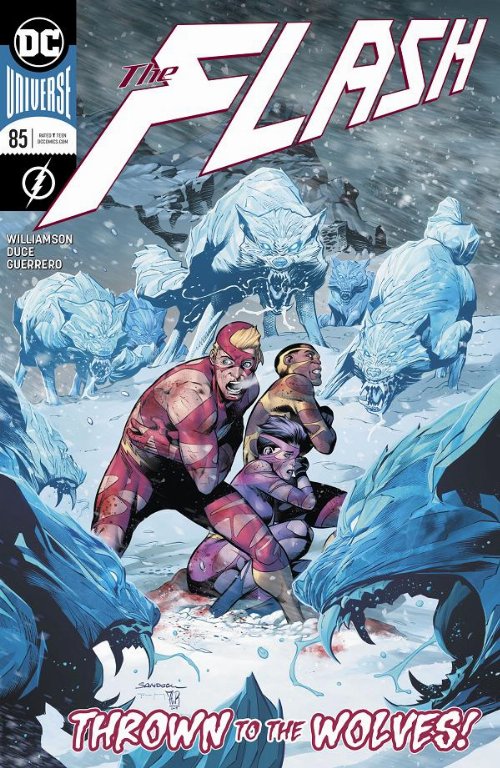 The Flash Ongoing #85
