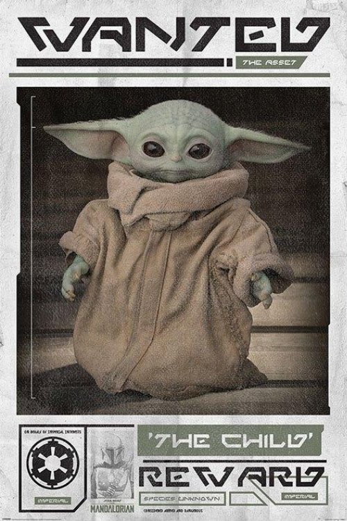 Αυθεντική Αφίσα Star Wars: The Mandalorian - Wanted
The Child (Baby Yoda) Poster (61x91cm)