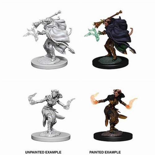 D&D Nolzur's Marvelous Miniatures - 2x Female
Tiefling Warlock