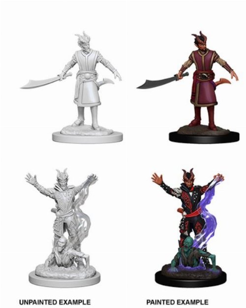 D&D Nolzur's Marvelous Miniatures - 2x Male
Tiefling Warlock