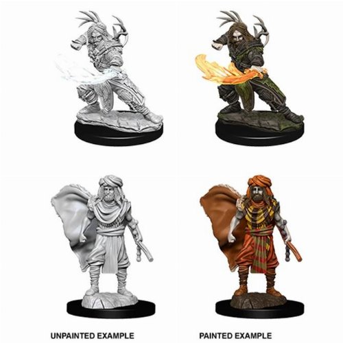 D&D Nolzur's Marvelous Miniatures - 2x Male Human
Druid