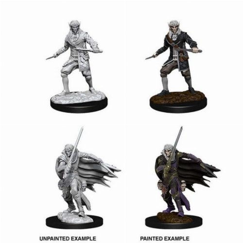 Pathfinder Deep Cuts Miniatures - 2x Male Elf
Rogue