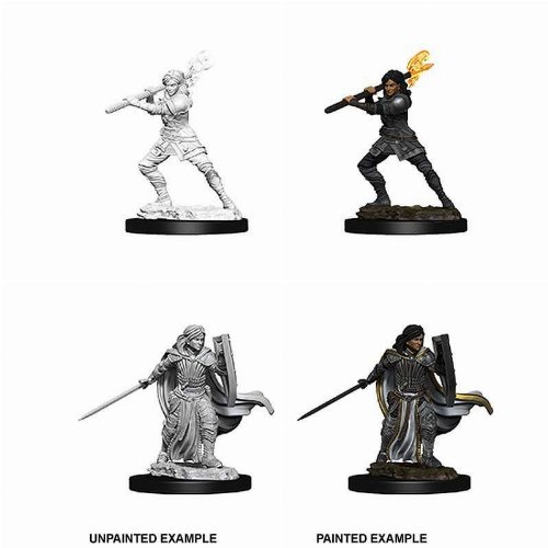 D&D Nolzur's Marvelous Miniatures - 2x Female
Human Paladin