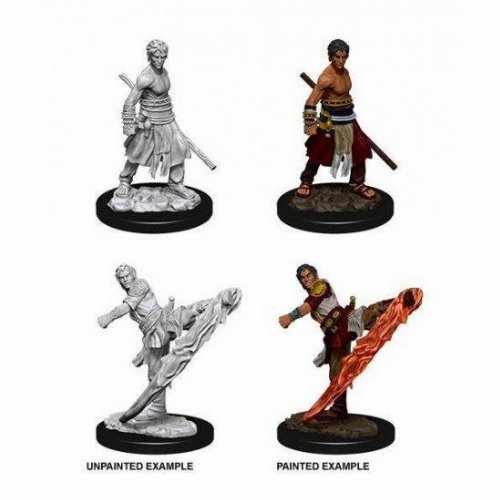 D&D Nolzur's Marvelous Miniatures - 2x Male
Half-Elf Monk