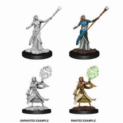 D&D Nolzur's Marvelous Miniatures - 2x Female Elf
Sorcerer