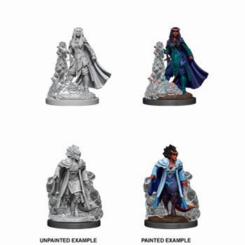 D&D Nolzur's Marvelous Miniatures - 2x Female
Tiefling Sorcerer