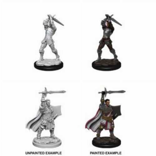 D&D Nolzur's Marvelous Miniatures - 2x Male Human
Paladin