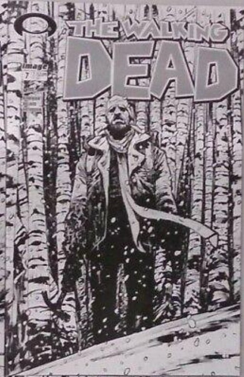The Walking Dead #7 15th Anniversary Johnson Variant
Cover B (Blind Bag)