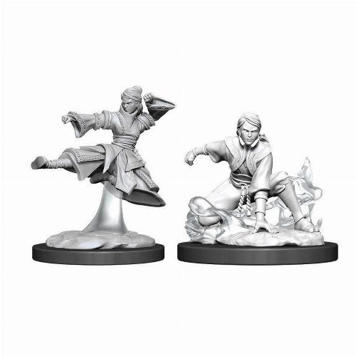 D&D Nolzur's Marvelous Miniatures - 2x Female
Human Monk