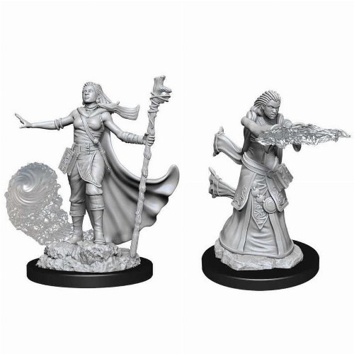 D&D Nolzur's Marvelous Miniatures - 2x Female
Human Wizard