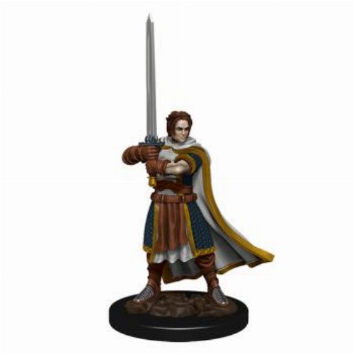 D&D Icons of the Realms Premium Miniature - Human
Cleric Male