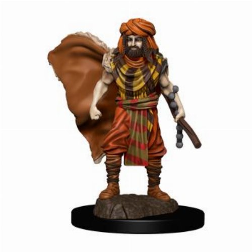 D&D Icons of the Realms Premium Miniature - Human
Druid Male