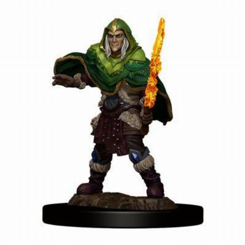 D&D Icons of the Realms Premium Miniature - Elf
Male Fighter