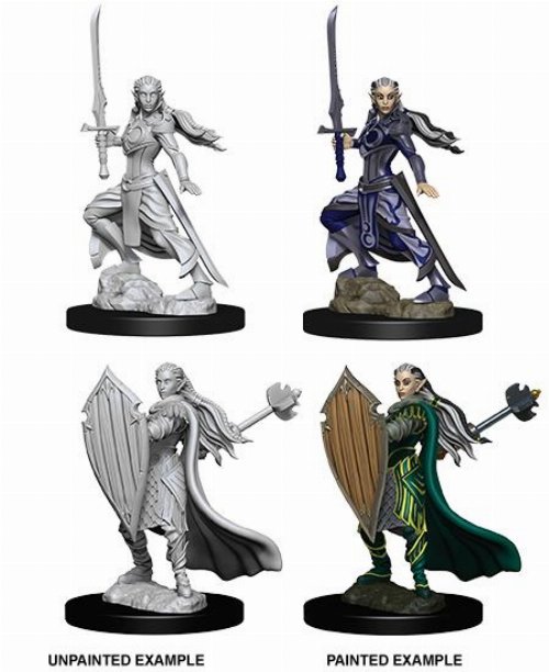 D&D Nolzur's Marvelous Miniatures - 2x Elf Female
Paladin