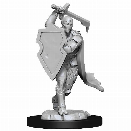 D&D Nolzur's Marvelous Miniatures - 2x Warforged
Male Fighter