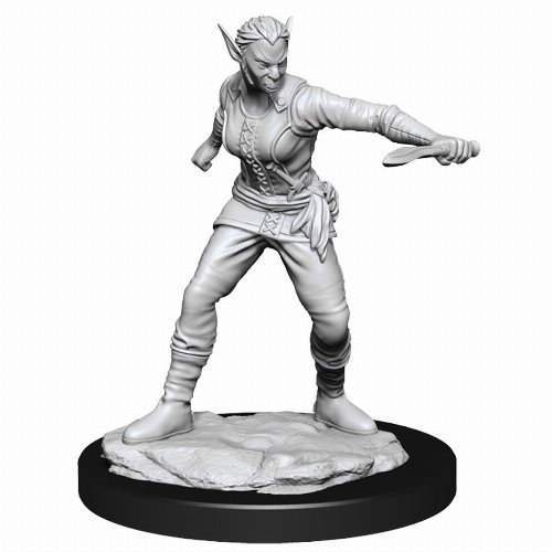 D&D Nolzur's Marvelous Miniatures - 2x
Shifter Female Rogue