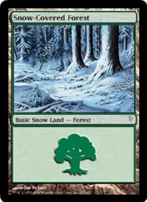 Snow-Covered Forest