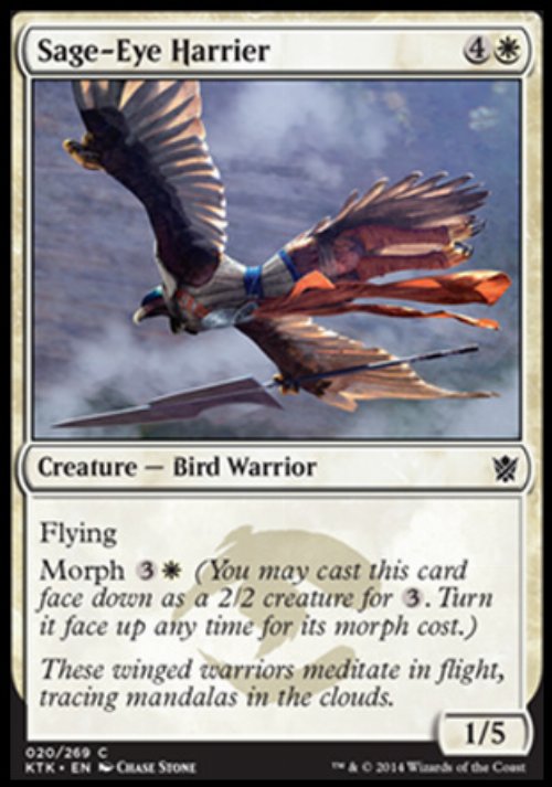 Sage-eye Harrier - Foil