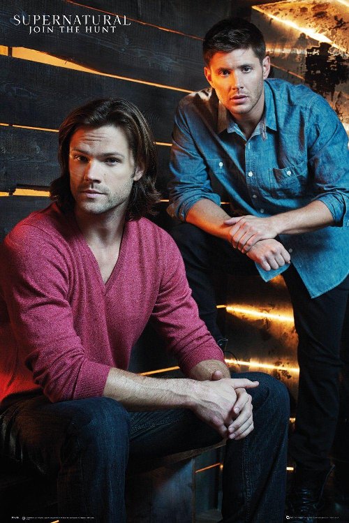 Supernatural - Brothers Poster
(92x61cm)