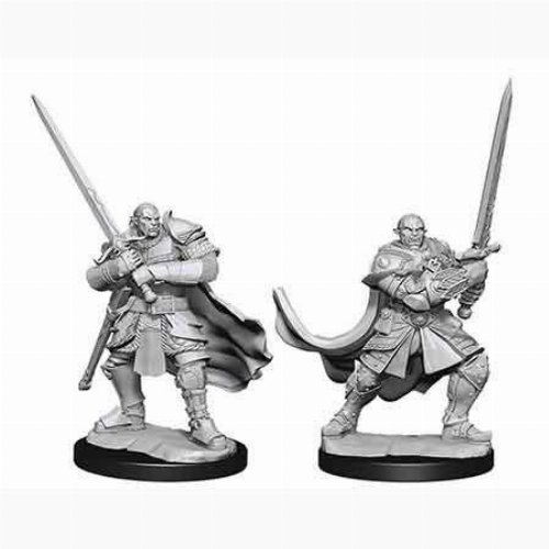 D&D Nolzur's Marvelous Miniatures - 2x Half-Orc
Male Paladin