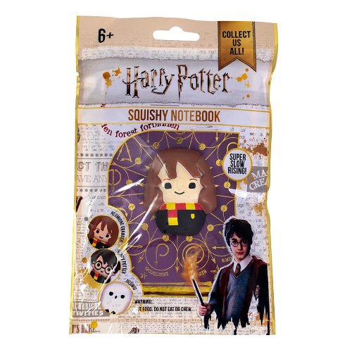 Σημειωματάριο Harry Potter - Hermione Skwisheez A6
Notebook