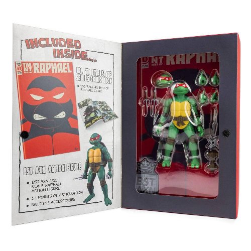 Teenage Mutant Ninja Turtles x IDW - Comic Book
Raphael Action Figure (13cm) Exclusive