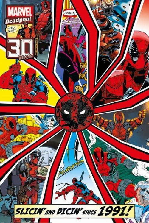 Deadpool - Shattered Poster
(61x91cm)