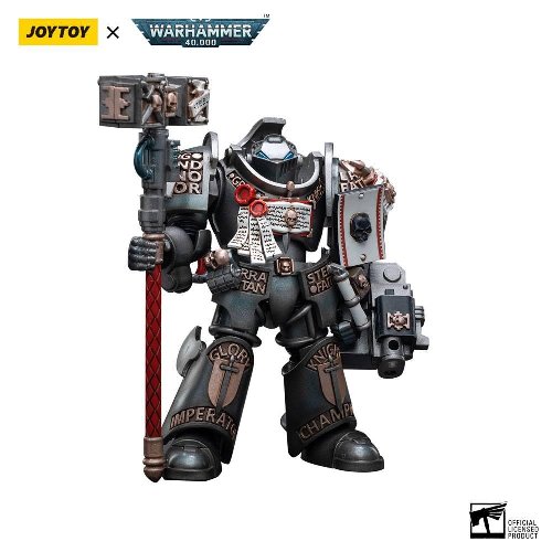 Warhammer 40000 - Grey Knights Terminator Caddon
Vibova Action Figure (13cm)