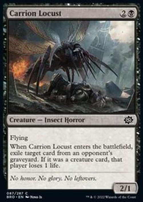 Carrion Locust