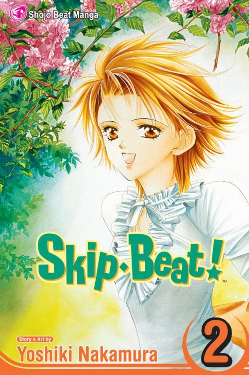 Skip Beat! Vol. 2