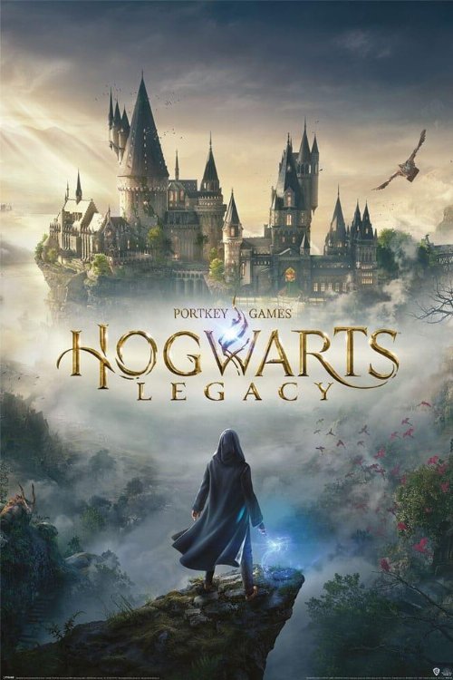 Harry Potter - Hogwarts Legacy Poster
(61x91cm)